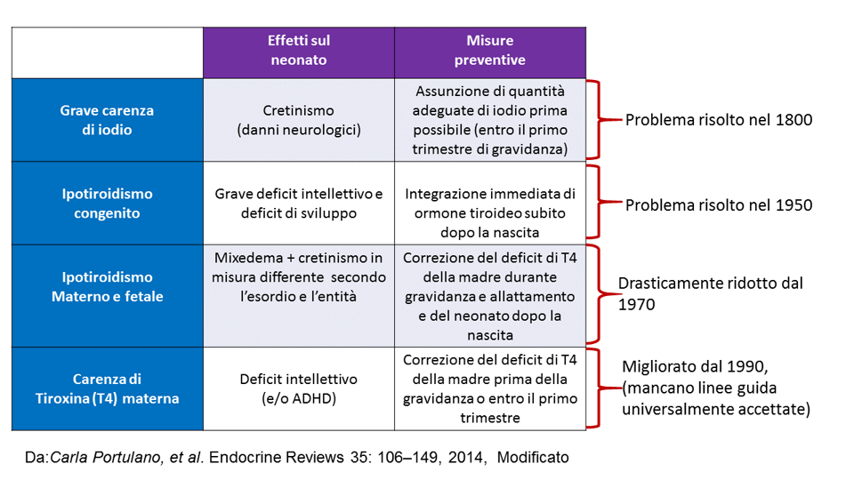 11778a63-b065-4cc9-abb6-6e9e1189069a