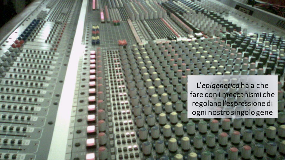 8a439022-f302-4dc7-8505-6541a90eb176