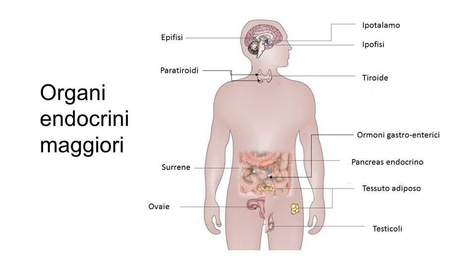 ed86611f-e4aa-4713-a0af-429be0187c19