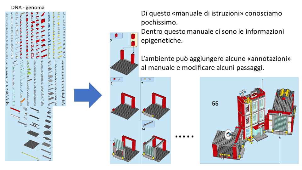 36a59497-8186-4147-ada3-38c1b91076c6