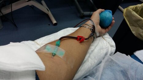 avisfiumevenetoplasmoteottobre2016.2