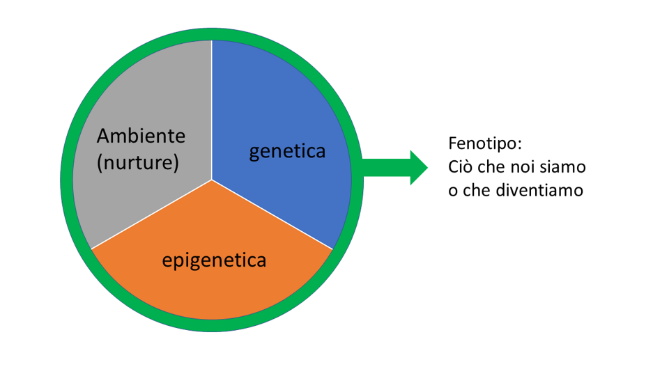 8fe8cba9-049e-4345-92bf-75ecedd448f7