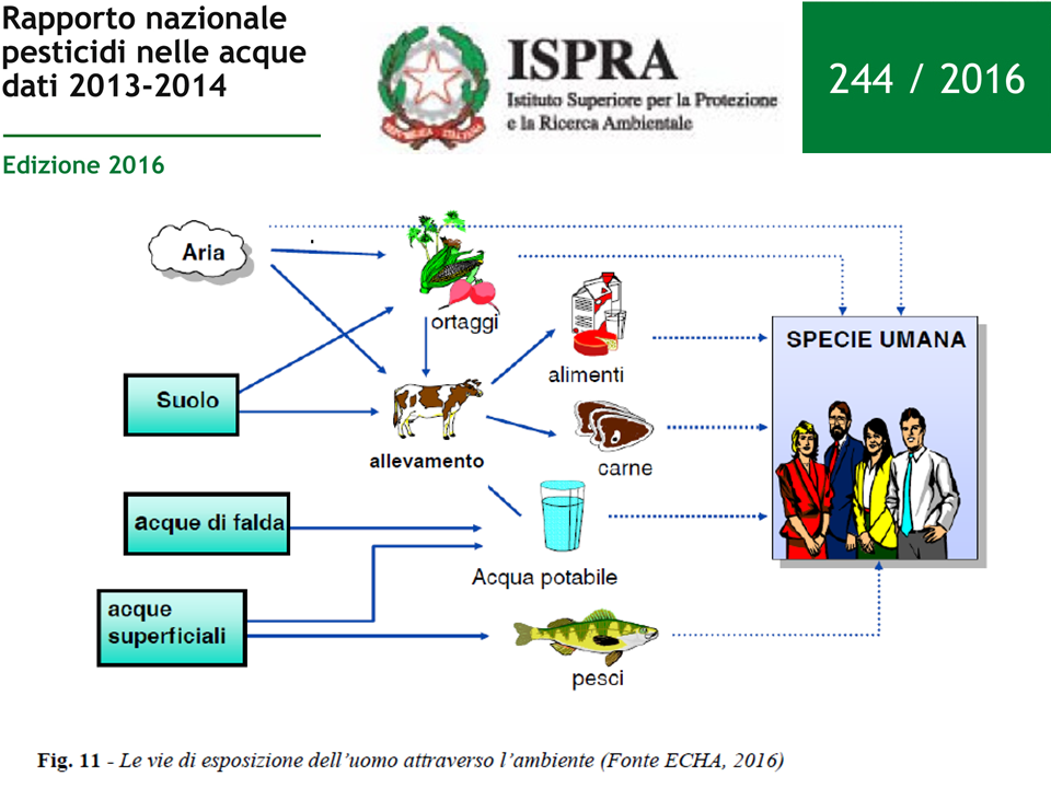 93b547db-d1fe-4f3c-a0ad-9a10ce8a3e69