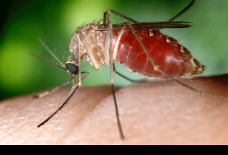 ae04a653-b533-4fed-934c-1c9452f7e81c