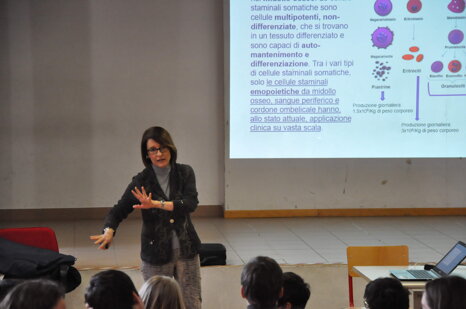 18b357e2-5e4c-491b-84dc-fd26571eabe0