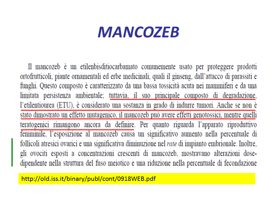 b6abe728-1739-4e29-9e05-3a2b4d26193a