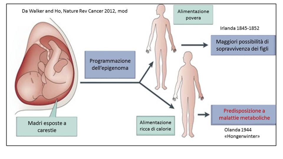 95179ab5-1776-4fa4-a484-863bb26968fe