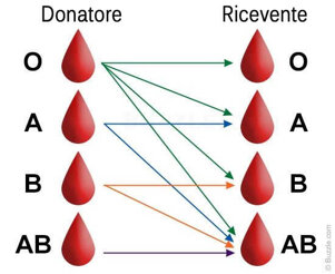 81c7f3a4-3b85-4312-942c-52acdbd9a507