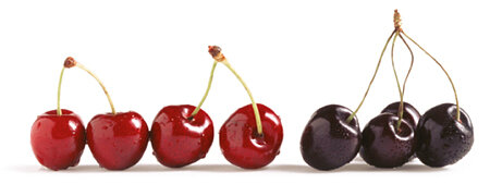 5c5b7d05-9550-482d-bfd5-b20f951c6bd5