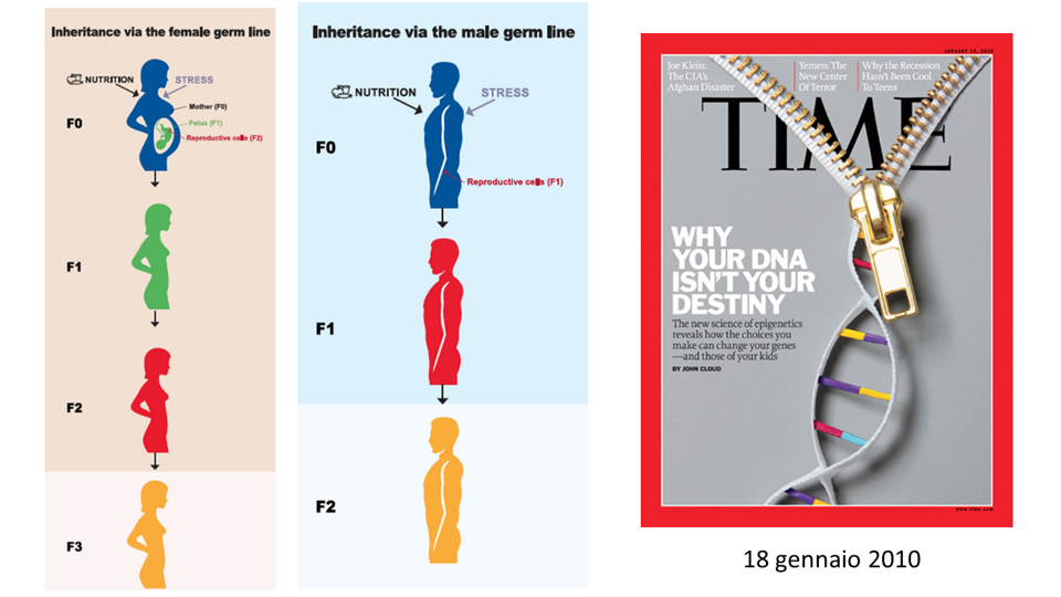 7db77d8d-46ff-4868-b61d-3155ab237530