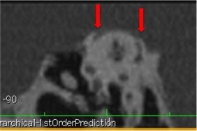 17b1674a-5162-4ff6-9ba7-b413b9557b7b