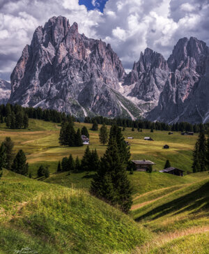 Vista sul Sassolungo e Sassopiatto dall'Alpe di Siusi (Bz)
