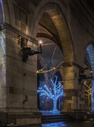 Piazza Cavalli, Natale 2020