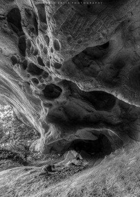 a3b8cec5-e669-461a-8c26-6327af0368cc.jpeg