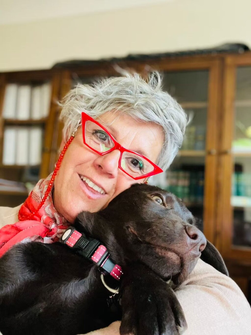 6c049bd6-6cf6-4ab5-82e1-9b2cbef7cee2