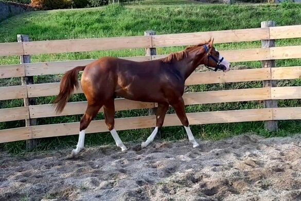 9e0fdabb-5817-4788-92d5-631b3aca32d2