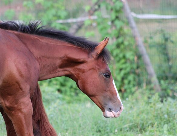 2aacb0e6-3076-4998-8341-63fcef1f96d6