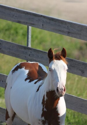 eyJlbiI6IiJ9 eyJlbiI6IiJ9