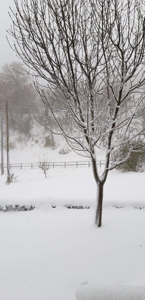 88f33c1f-1156-4db1-b58c-12fae2ce036b