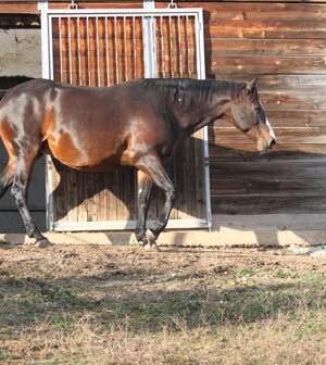 eyJlbiI6IiJ9 eyJlbiI6IiJ9