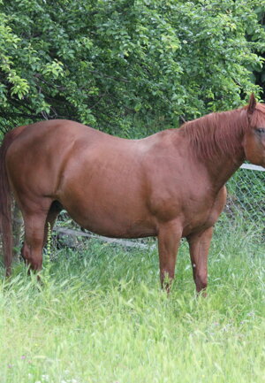 eyJlbiI6IiJ9 eyJlbiI6IiJ9