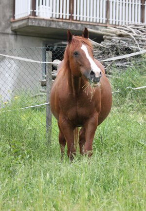 eyJlbiI6IiJ9 eyJlbiI6IiJ9