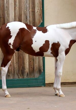 eyJlbiI6IiJ9 eyJlbiI6IiJ9