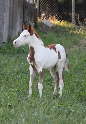 eyJlbiI6IiJ9 eyJlbiI6IiJ9