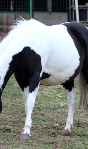 eyJlbiI6IiJ9 eyJlbiI6IiJ9