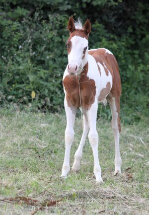 eyJlbiI6IiJ9 eyJlbiI6IiJ9