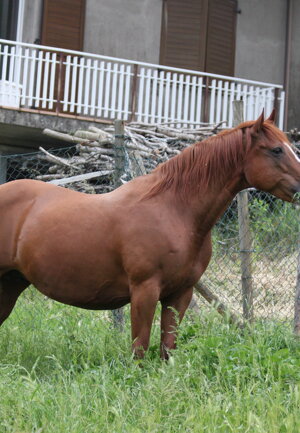 eyJlbiI6IiJ9 eyJlbiI6IiJ9