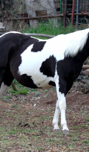 eyJlbiI6IiJ9 eyJlbiI6IiJ9