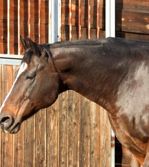 eyJlbiI6IiJ9 eyJlbiI6IiJ9