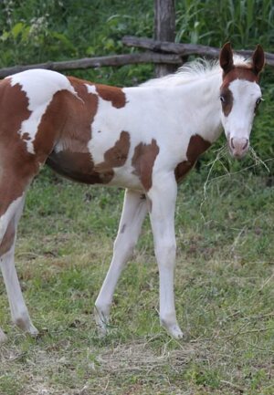 eyJlbiI6IiJ9 eyJlbiI6IiJ9