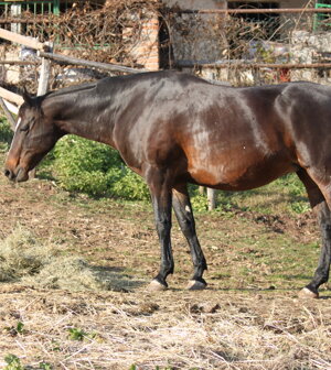 eyJlbiI6IiJ9 eyJlbiI6IiJ9