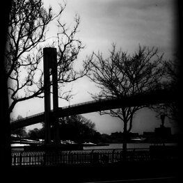 bartleby6