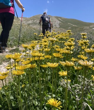 vetta%20occidentale-corno%20grande.jpeg vetta%20occidentale-corno%20grande.jpeg