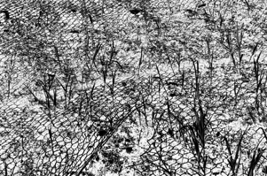 6b62b850-f931-4282-ae92-363099741878