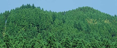 77dc10d6-013c-4211-b0f8-a64894b929cc.jpeg 77dc10d6-013c-4211-b0f8-a64894b929cc.jpeg