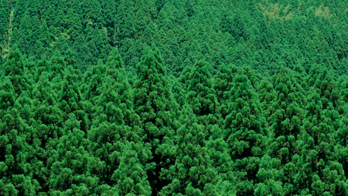 1e5c94d6-c961-4f5f-918c-1f9e896aeafe 1e5c94d6-c961-4f5f-918c-1f9e896aeafe