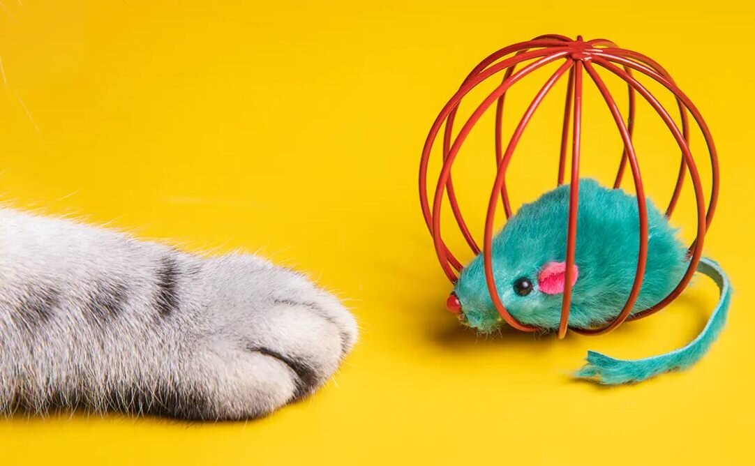 THE IMPERATIVE OF A SECURE PSYCHOLOGICAL ENVIRONMENT