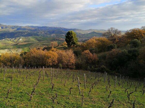 db9005f7-159f-46ec-9888-21cddb592e39