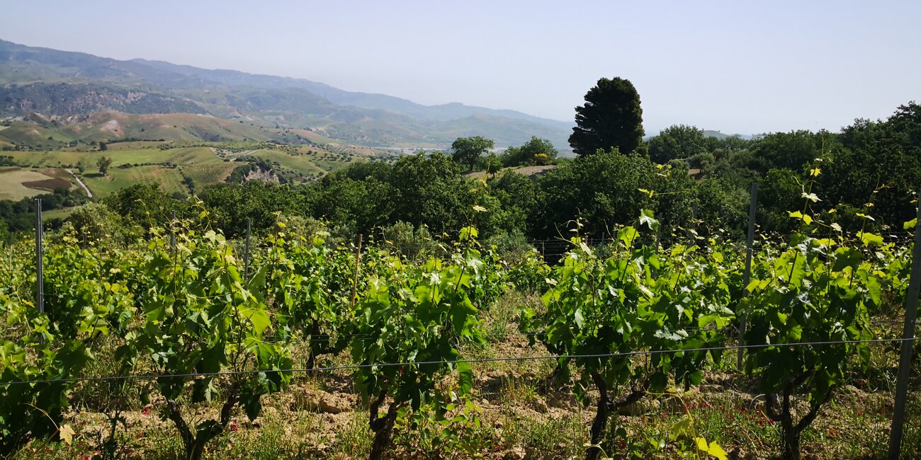 30a85b3f-fbda-4a59-ad22-4fead213a216 30a85b3f-fbda-4a59-ad22-4fead213a216