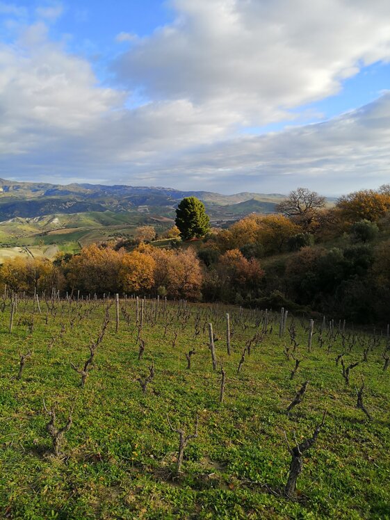 b606d554-ff69-432f-bf76-416972e475f8