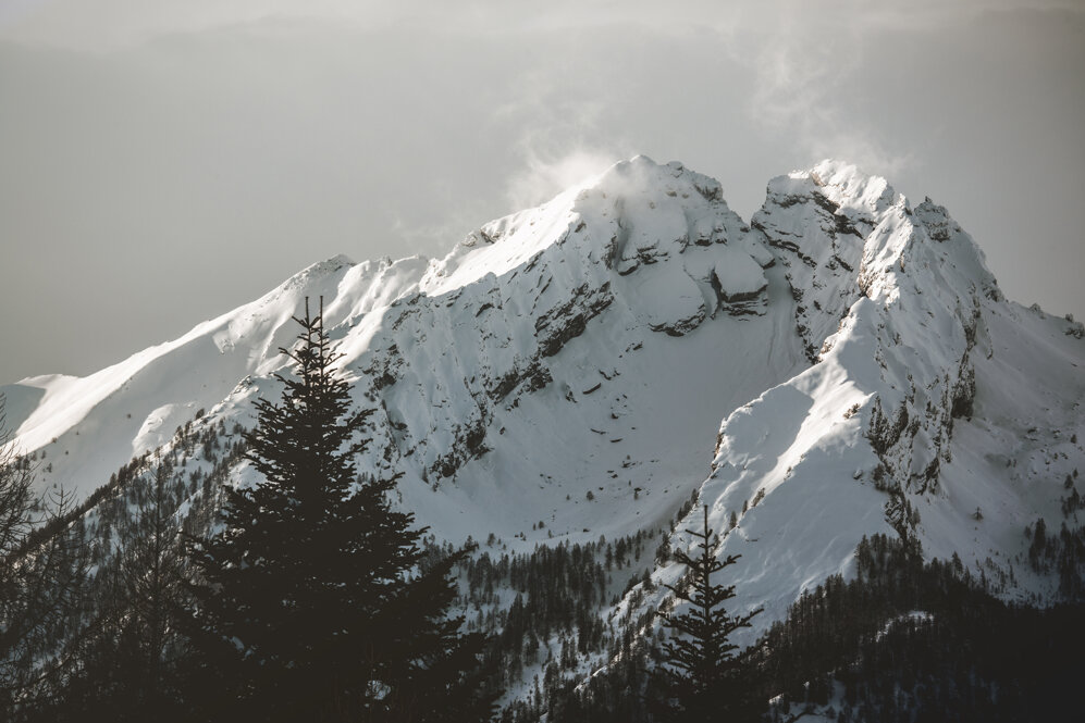 copia di _mg_3891.jpeg copia di _mg_3891.jpeg