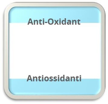 edd3ea24-0b9f-462f-af5f-f272345c362d edd3ea24-0b9f-462f-af5f-f272345c362d