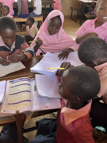 ddc95901-21d6-49a1-a9e1-f6c58cc98dac ddc95901-21d6-49a1-a9e1-f6c58cc98dac