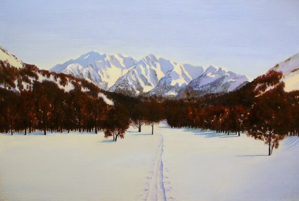 camosciaredavalleorsara