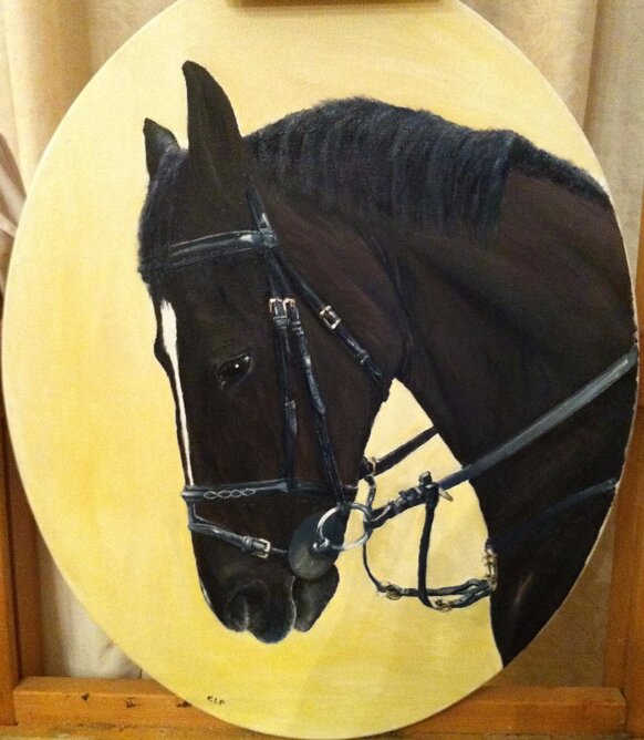 33f432d53b214213bf12147d64df3b39