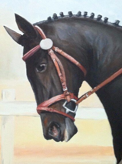 54557e0d459c41e895b4ac97e97a86b7